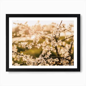 White Flower Tree Art Print