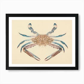 Blue Crab), Luigi Balugani Art Print