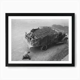Untitled Photo, Possibly Related To Unloading Gravel To Be Used In Mine Building Construction, Ouray County Art Print