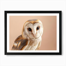 Barn Owl 9 Art Print