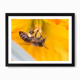 Busy Bee Art Print