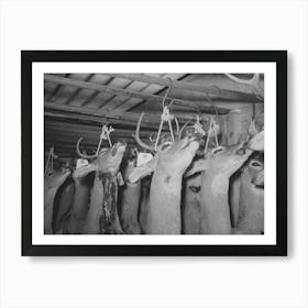 Heads Of Deer Shot By Hunters, Mason, Texas By Russell Lee Art Print