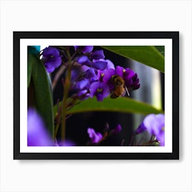 Bee On Purple Flower Art Print