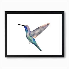 Kolibri Art Print