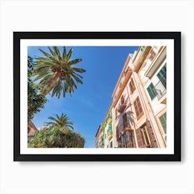 Italy Palm Tree In The Street Art Print