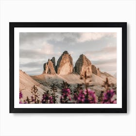 Wildflower Mountain Views Art Print