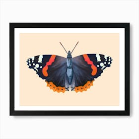 Red Admiral Butterfly Art Art Print