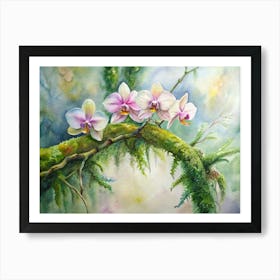 Orchids On Moss Art Print