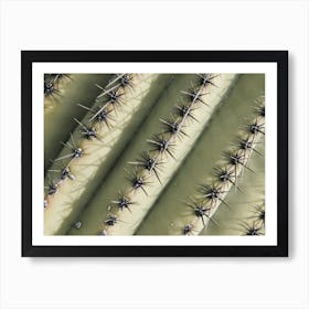 Cactus Spikes Art Print