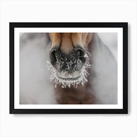 Cold Horse Breath Art Print