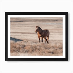 Horse On Horizon Art Print