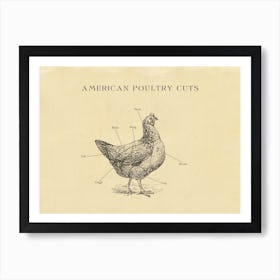 American Chicken Butcher Cuts Chart Art Print