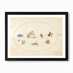 Two Butterflies With Five Other Insects, Joris Hoefnagel Art Print