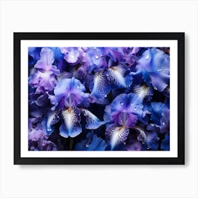 Blue Iris Flowers 1 Art Print