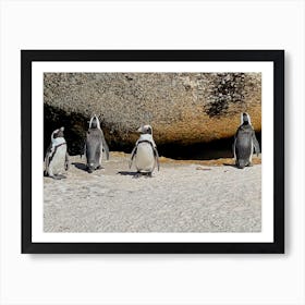 Penguins In Cape Town (Africa Series) 1 Art Print