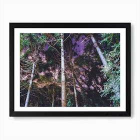 Purple Forest Art Print