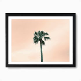 Palm Tree - Pink Sunset Sky - Photography Art Print