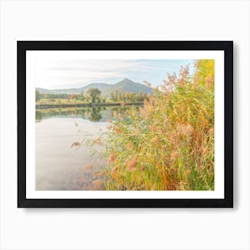 Reeds By The River Art Print