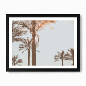 The Palmtrees In The Summer Sun Spain Travel Art Print