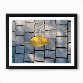 Lone Leaf Art Print