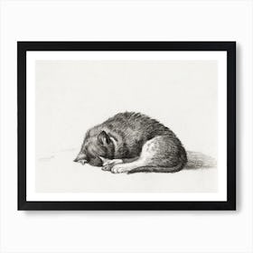 Rolled Up Lying Sleeping Cat, Jean Bernard Art Print