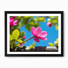 Pink Cherry Blossoms Art Print