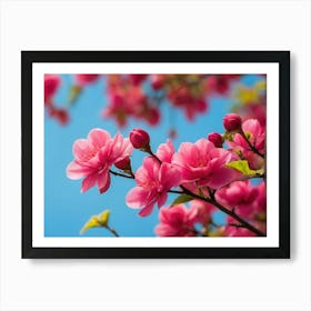 Cherry Blossoms 2 Art Print