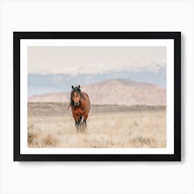 Horse On Horizon Art Print