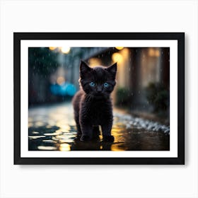 Black Kitten with blue eyes In The Rain 1 Art Print