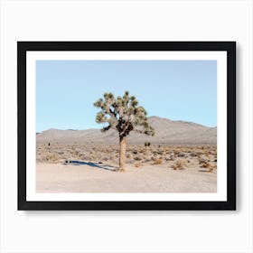 Lonely Desert Tree Art Print