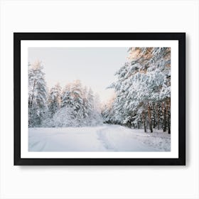 Snow Covered Winter Road Art Print