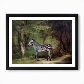 Zebra, George Stubbs Art Print