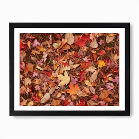 Fall Leaves Art Print