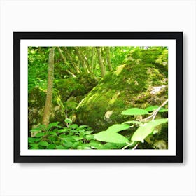 Mossy Rocks In The Forest Art Print