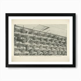 Vintage Illustration Of Grape Room, John Wright Art Print