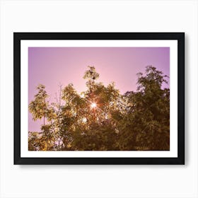 Blush Sunrise Art Print