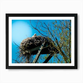 Stork In Nest 20200301 31rt1ppub Art Print