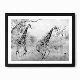 Giraffe Running Art Print
