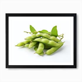 Soy Beans 1 Art Print