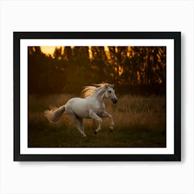 Horse sunset Running - Menen Belgium horse photo print - moody animal photography Art Print