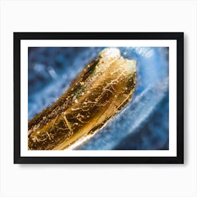 Credit Card Number Under The Microscope Art Print