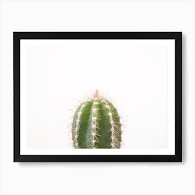 Petite Cactus Art Print