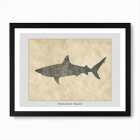 Thresher Shark Silhouette 5 Poster Art Print