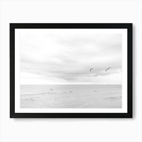 Black And White Seagulls  Art Print