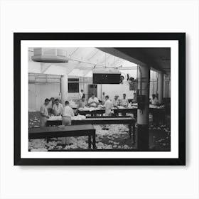 Grading Cotton At Cotton Compress, Houston, Texas By Russell Lee Art Print