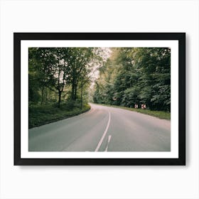 Road In The Woods Art Print