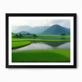 Rice Paddy Field Art Print