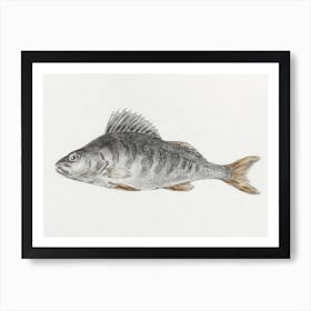 Fish 1, Jean Bernard Art Print