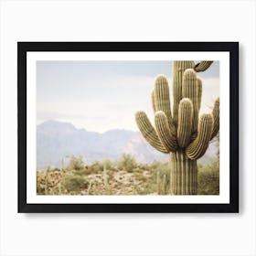 Cave Creek Cactus Art Print