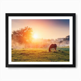 Horse Sunrise Art Print